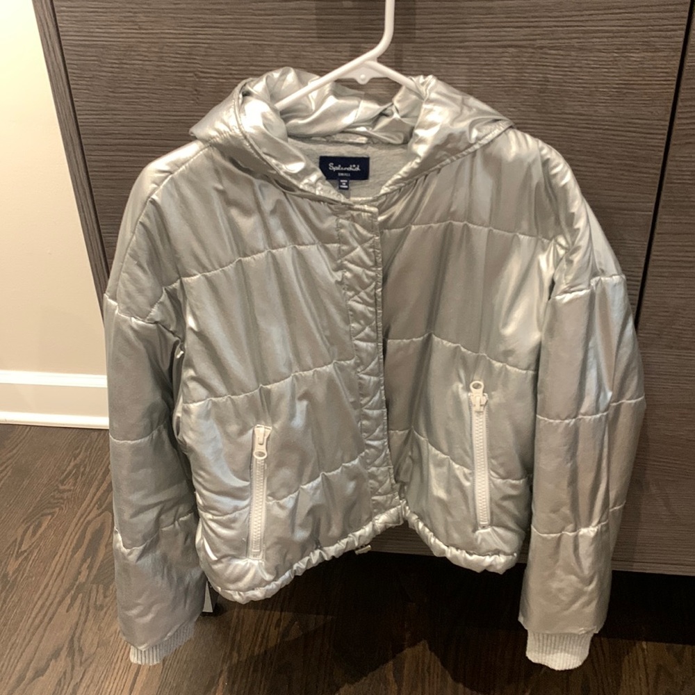 Silver winter puffer